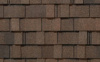 Burnt Sienna